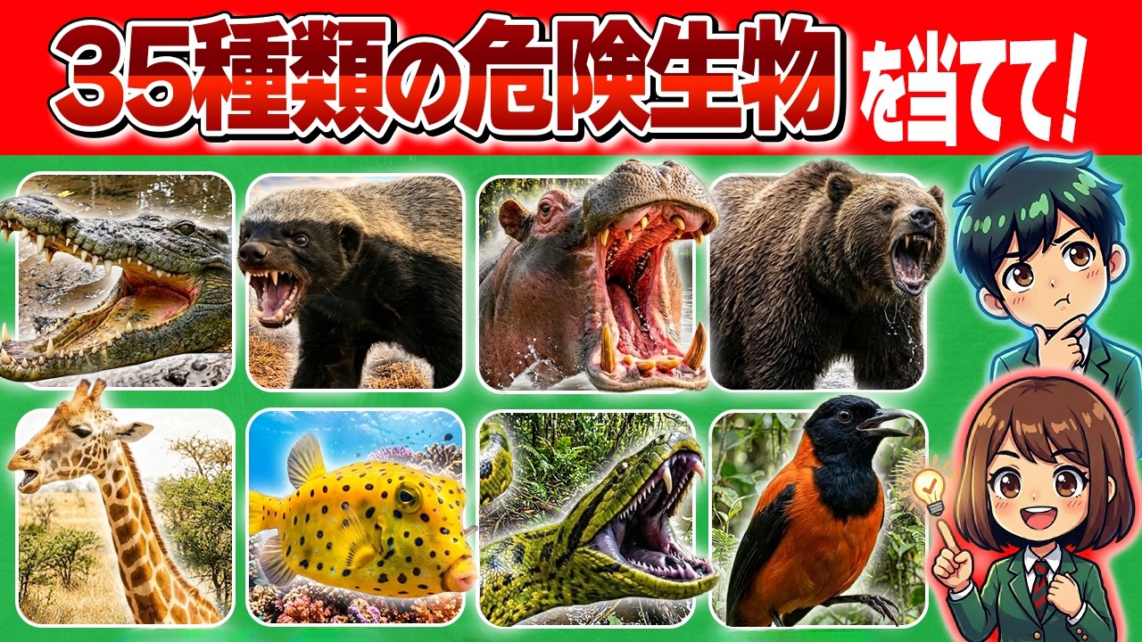 【生き物クイズ】35種類の危険生物の名前を当てられるかな？