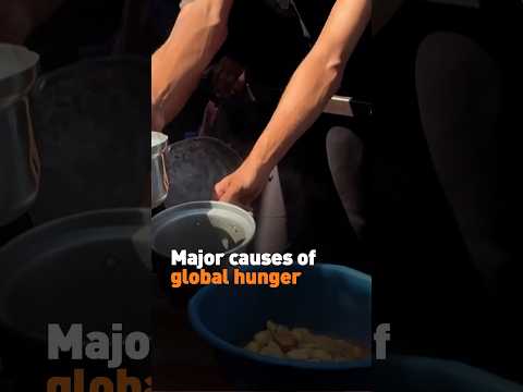 Major causes of global hunger