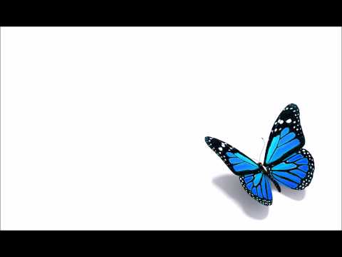 Opwekking voor kids 314: Vlinder