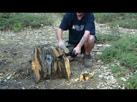 YouTube video about: Who buys fat lighter stumps?