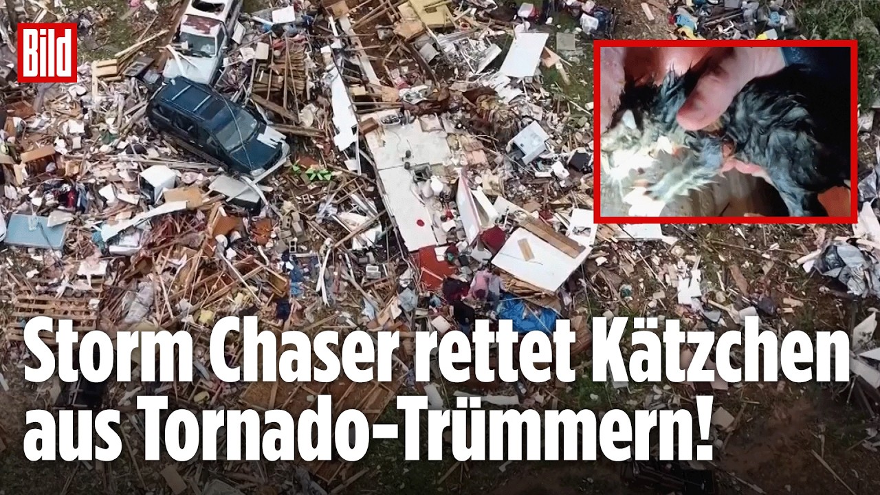 Mississippi: Sturm-Jäger rettet Babykatze – Tornado zerstört 400 Häuser
