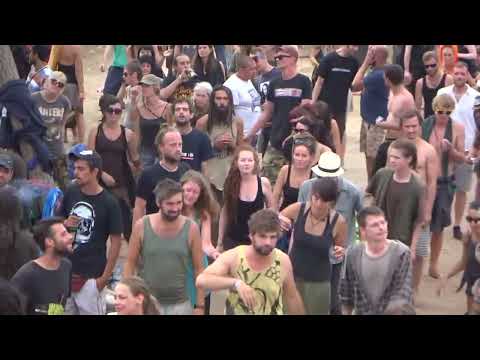 Megalopsy @ Freqs of Nature 2014