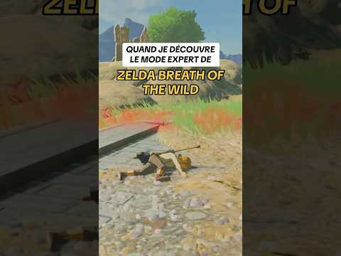 Je vais GA-LÉ-RER 😭 #flavienalexzander #zelda #shorts #botw