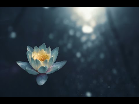 contatta il tuo subconscio MEDITAZIONE  (ipnosi ad occhi aperti) CON IMMAGINI POSITIVE