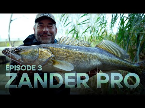ZANDER PRO 5 - Episode 3