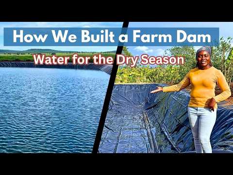 Steps We Used to Build a Farm Dam on Our Semi-Arid Farm 💧🌿 | Water Storage for the Dry Season