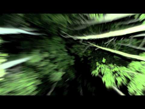 Ray Okpara feat. Robert Jankovic - Dreamracing (mobilee records)