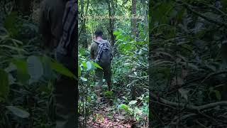 Download lagu Jelajah hutan#camping #survival mp3 Download lagu Jelajah hutan#camping #survival mp3