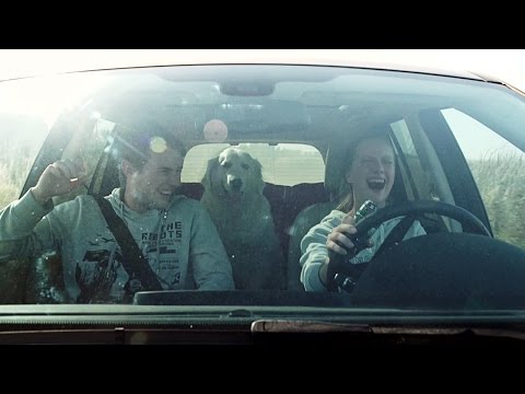 КРОЛИК / THE RABBIT (16+). Comedy