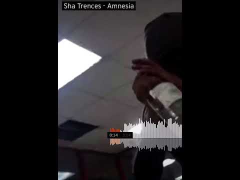 Sha Trenches - Amnesia
