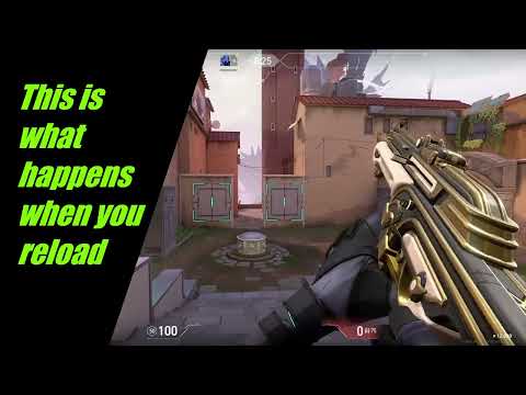 Aristocrat Vandal, should you buy it?