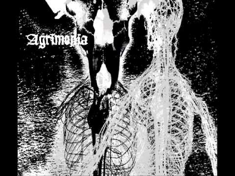 Agrimonia -  Scars Make Life