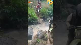 Download lagu Video lucu VIRAL #video #videolucubikinngakakterbaru #lucu #viral mp3