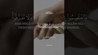 Download lagu تلاوة خاشعة تؤثر قلبك من سورة آل-عمران | آية 103 | القارئ #انس_حجي #قران_كريم #قرآن #دعاء_مستجاب  mp3 Download lagu تلاوة خاشعة تؤثر قلبك من سورة آل-عمران | آية 103 | القارئ #انس_حجي #قران_كريم #قرآن #دعاء_مستجاب  mp3