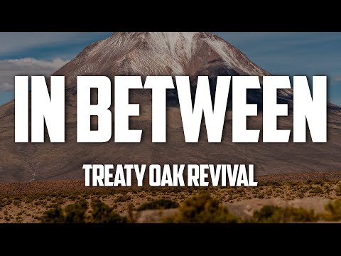 Treaty Oak Revival  - In Between (Lyrics)