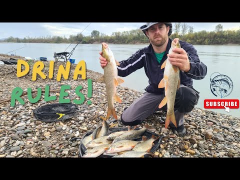 Čarobno pecanje na Drini