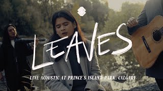 Ben&amp;Ben | Leaves - Live Acoustic at Prince’s Island Park, Calgary