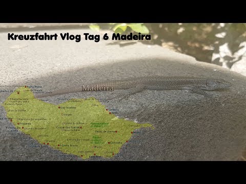 Kreuzfahrt Vlog | Tag 6 | Madeira | Echsen überall!!!