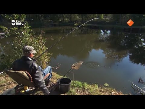 De Rijdende Rechter 26-03-2019 - Pril doet wat hij wil