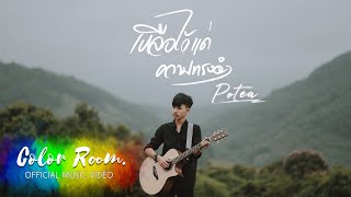 เหลือไว้แค่ความทรงจำ – POTAE (โปเต้)