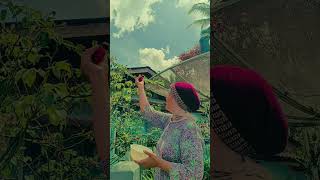 Download lagu bunga jaman dulu, masih ingatkah gaes??#90s #shortvideo #nostalgia #viralvideo #jamandulu mp3