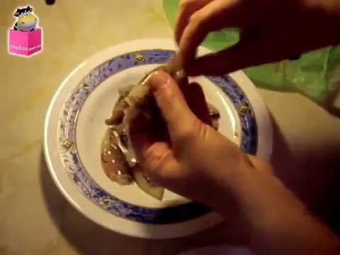 Miniatura de vídeo