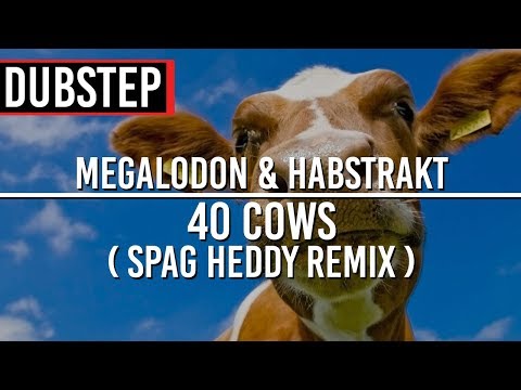 Megalodon & Habstrakt - 40 Cows (Spag Heddy Remix)