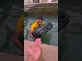Big Fish Ko Bacha Lia Minivlogs Fish Minipets