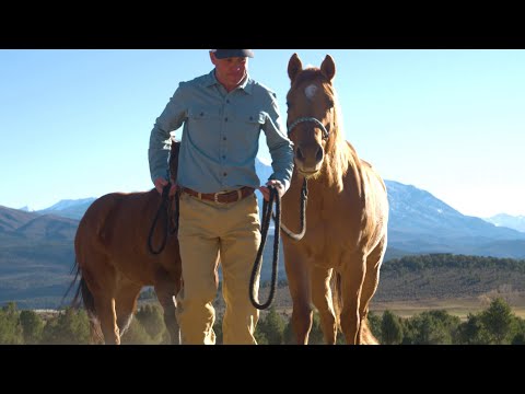 Patagonia® Men's Light Farrier's Shirt