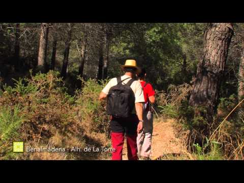 Gran Senda de Mlaga. Etapa 34: Benalmdena-Alhaurn de la Torre