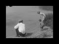 Taylor Street Flea Circus Juvenoia Official Music Video