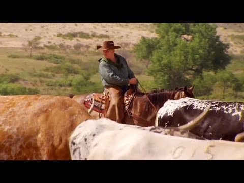 Філ Колес - відео обкладинка