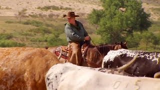 How the Wild West was Won with Ray Mears - Official Teaser