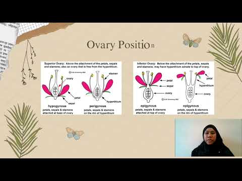 AGR 122 VIDEO PRESENTATION