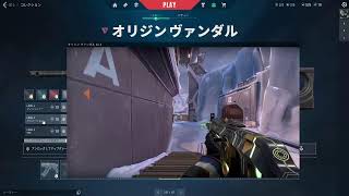 初心者バロ　コンペ