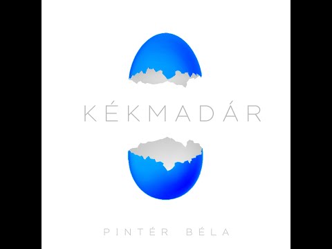 Pintér Béla   nem nem nem