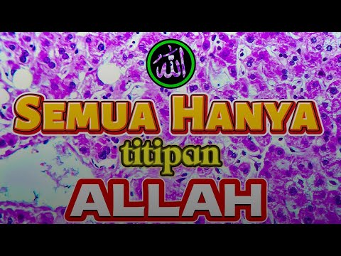 Semua Hanya Titipan Allah | FirmanSanken