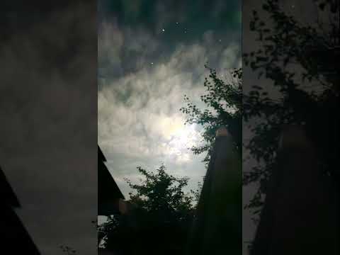 Nicolae Crețu - Sună telefoanele ca dracii