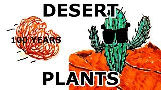 What Do DESERT PLANTS Do Differently