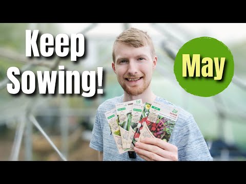 Seeds You MUST Sow In MAY Before It's TOO LATE! | Allotment Gardening For Beginners