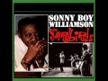 Sonny Boy Williamson II & The Yardbirds - 23 Hours Too Long