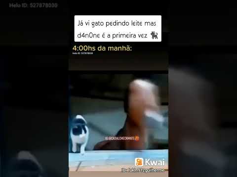 já vi gato pedindo leite mas d4n0ne é a primeira vez 🐈
