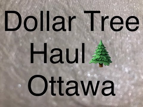 Dollar Tree Haul 🌲- Ottawa