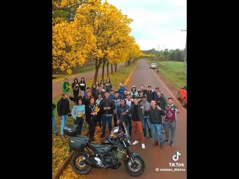 Natalio itapua... #lapacho amarillo. . #bonsai Paraguay
