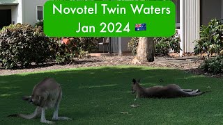 🇦🇺 Novotel Twin Waters Resort, Sunshine Coast (Jan 2024)