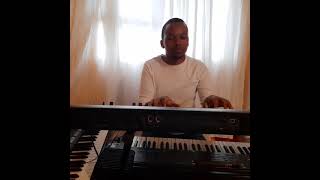 Mbize | Dumi Mkokstad | Instrumental Cover | SA Silosini