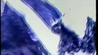 SANTA SABINA   AZUL CASI MORADO