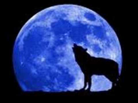 Bilskirnir-Blutgericht