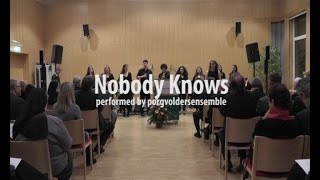 P.V.E. - Nobody Knows - Live in Wien