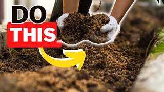Garden Soil Prep MUST DO’S!